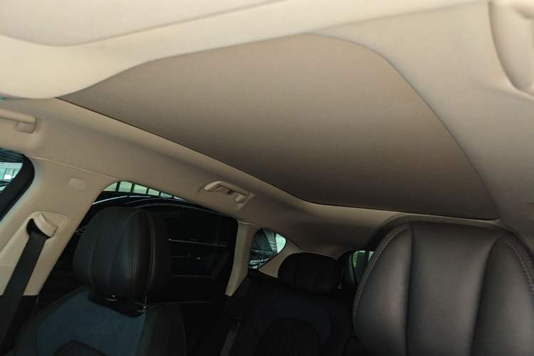 Used VOYAH FREE 2024 Ultra-Long Range Intelligent Driving Version Headliner