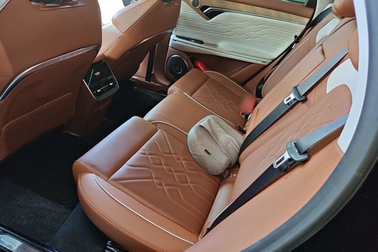Used VOYAH FREE 2024 Ultra-Long Range Intelligent Driving Version Left Rear Seat