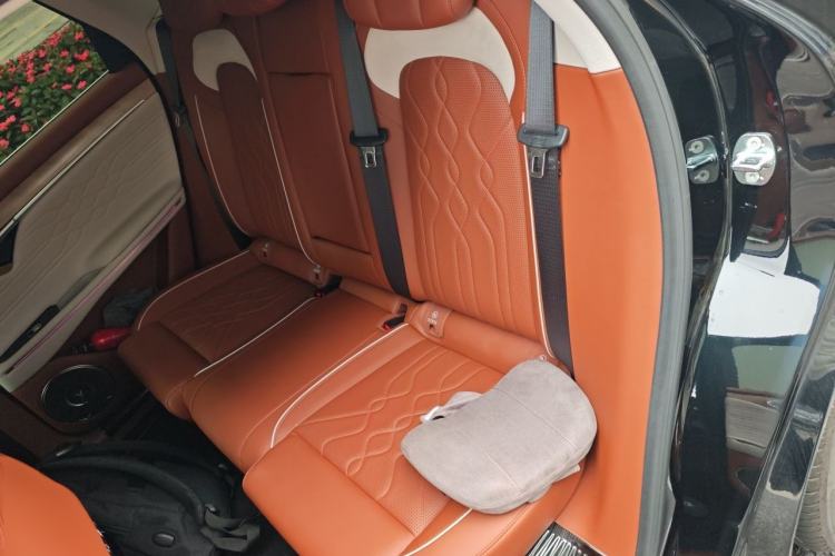 Used VOYAH FREE 2024 Ultra-Long Range Intelligent Driving Version Left Rear Seat