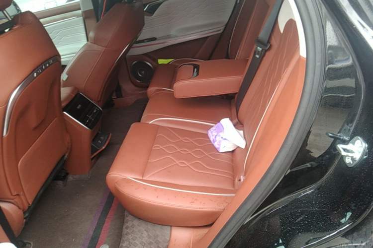 Used VOYAH FREE 2024 Ultra-Long Range Intelligent Driving Version Left Rear Seat