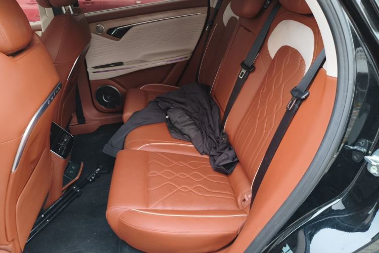 Used VOYAH FREE 2024 Ultra-Long Range Intelligent Driving Version Left Rear Seat