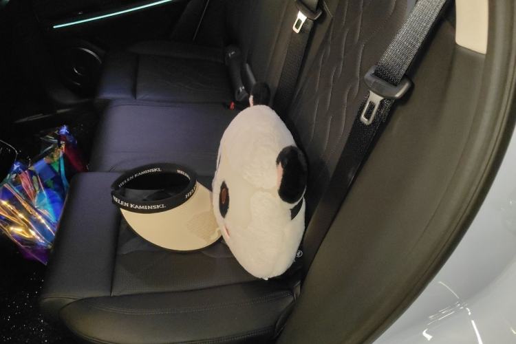 Used VOYAH FREE 2024 Ultra-Long Range Intelligent Driving Version Left Rear Seat
