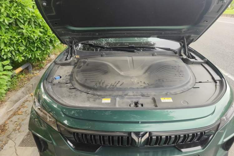 Used VOYAH FREE 2024 Ultra-Long Range Intelligent Driving Version Engine Bay Right