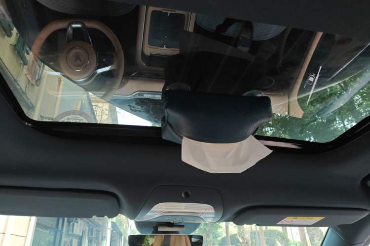 Used VOYAH FREE 2024 Ultra-Long Range Intelligent Driving Version Headliner