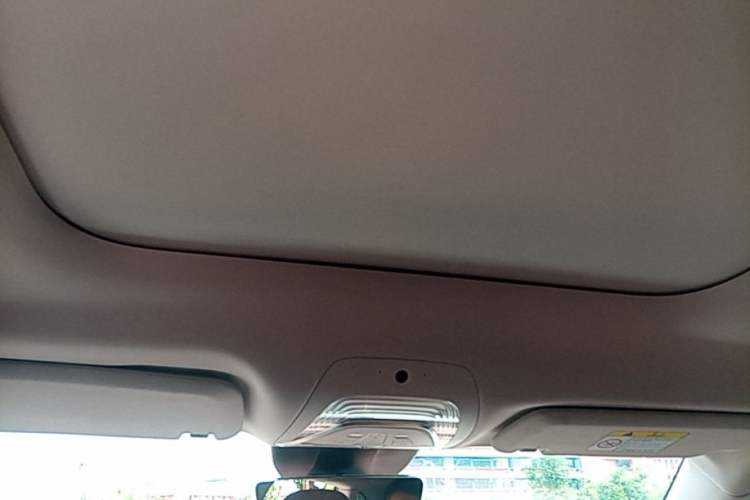 Used VOYAH FREE 2024 Ultra-Long Range Intelligent Driving Version Headliner