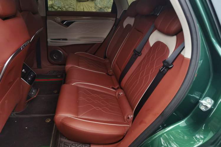 Used VOYAH FREE 2024 Ultra-Long Range Intelligent Driving Version Left Rear Seat