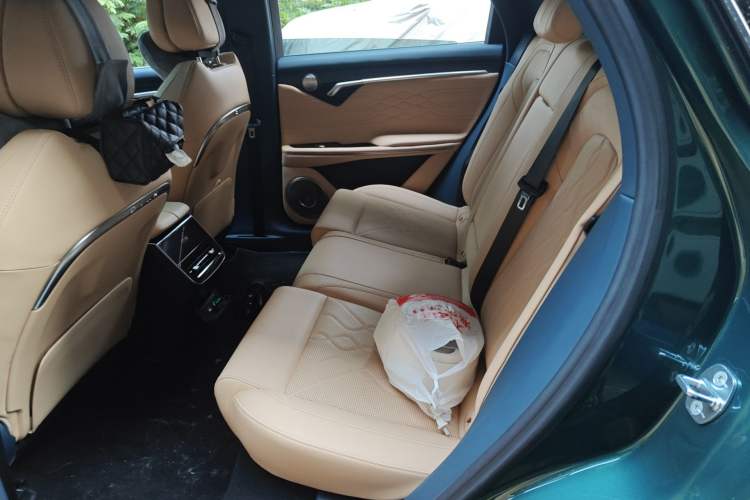 Used VOYAH FREE 2024 Ultra-Long Range Intelligent Driving Version Left Rear Seat