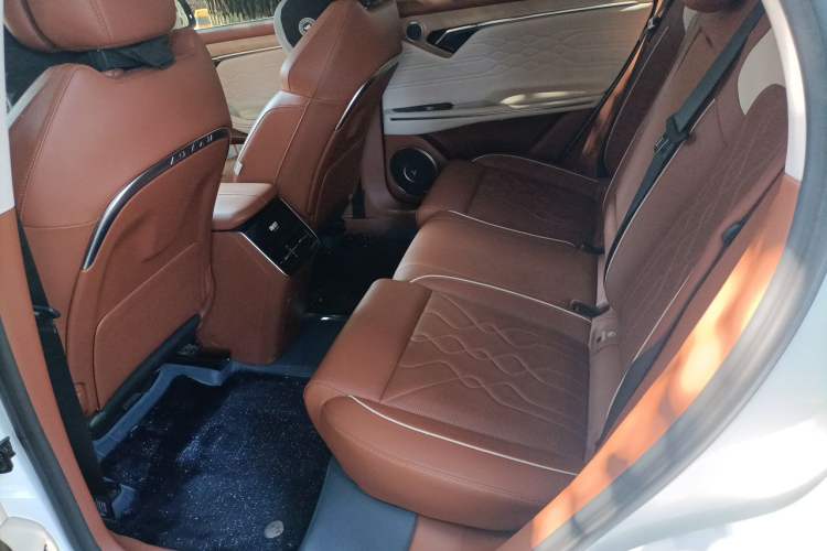 Used VOYAH FREE 2024 Ultra-Long Range Intelligent Driving Version Left Rear Seat