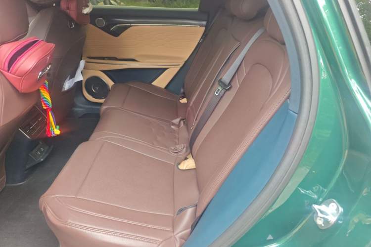 Used VOYAH FREE 2024 Ultra-Long Range Intelligent Driving Version Left Rear Seat