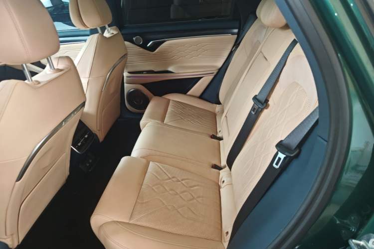 Used VOYAH FREE 2024 Ultra-Long Range Intelligent Driving Version Left Rear Seat