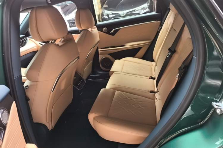Used VOYAH FREE 2024 Ultra-Long Range Intelligent Driving Version Left Rear Seat
