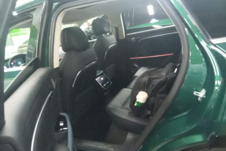 Used VOYAH FREE 2024 Ultra-Long Range Intelligent Driving Version Left Rear Seat
