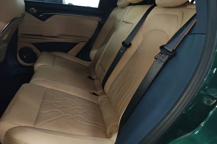 Used VOYAH FREE 2024 Ultra-Long Range Intelligent Driving Version Left Rear Seat