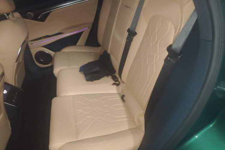 Used VOYAH FREE 2024 Ultra-Long Range Intelligent Driving Version Left Rear Seat