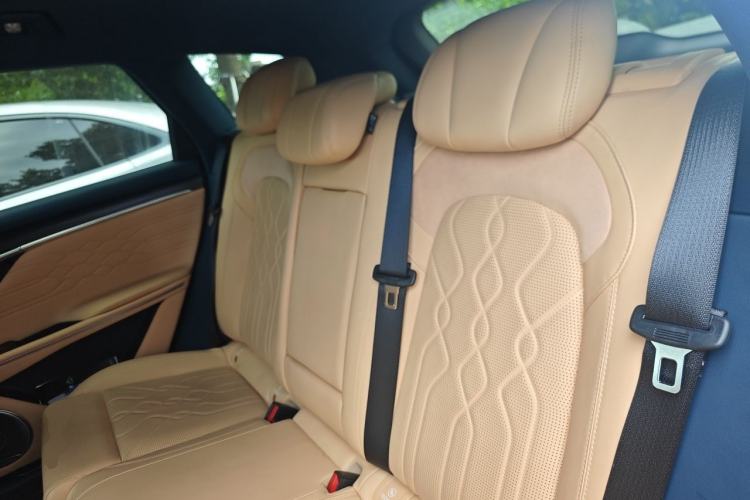 Used VOYAH FREE 2024 Ultra-Long Range Intelligent Driving Version Left Rear Seat