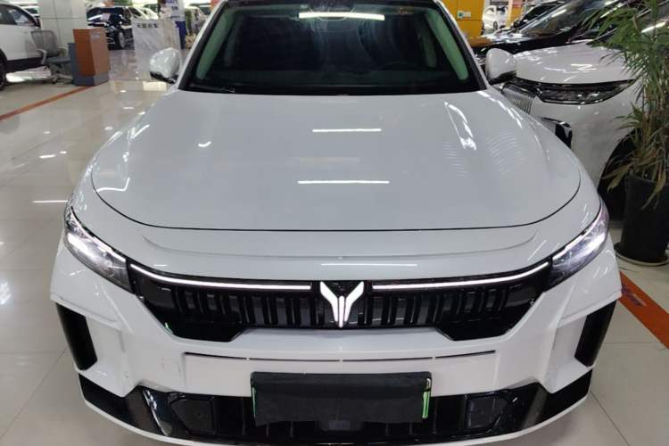 Used VOYAH FREE 2024 Ultra-Long Range Intelligent Driving Version Front
