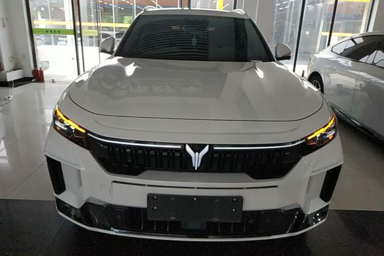 Used VOYAH FREE 2024 Ultra-Long Range Intelligent Driving Version Front