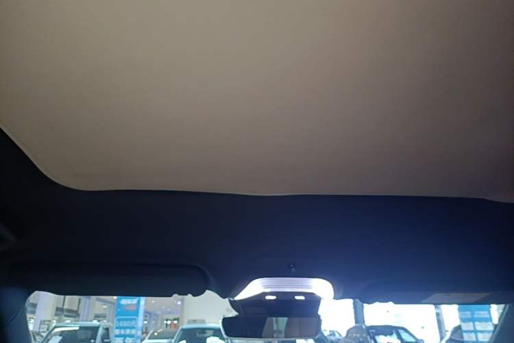 Used VOYAH FREE 2024 Ultra-Long Range Intelligent Driving Version Headliner