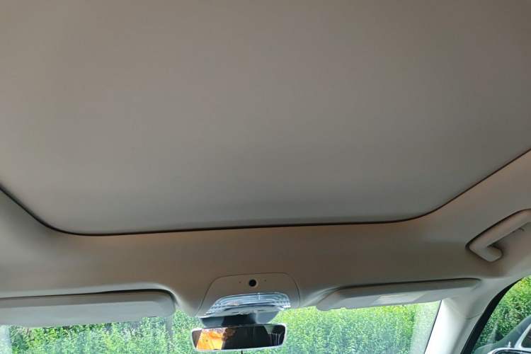 Used VOYAH FREE 2024 Ultra-Long Range Intelligent Driving Version Headliner