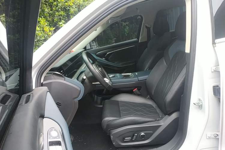 Used VOYAH FREE 2024 Ultra-Long Range Intelligent Driving Version Left Front Seat