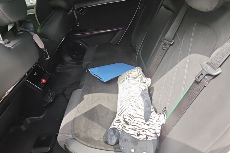 Used VOYAH FREE 2024 Ultra-Long Range Intelligent Driving Version Left Rear Seat