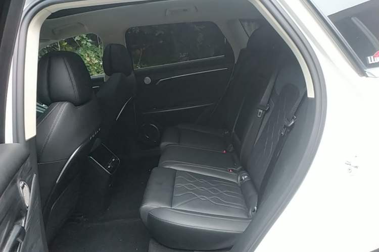 Used VOYAH FREE 2024 Ultra-Long Range Intelligent Driving Version Left Rear Seat