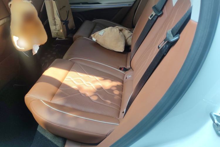 Used VOYAH FREE 2024 Ultra-Long Range Intelligent Driving Version Left Rear Seat