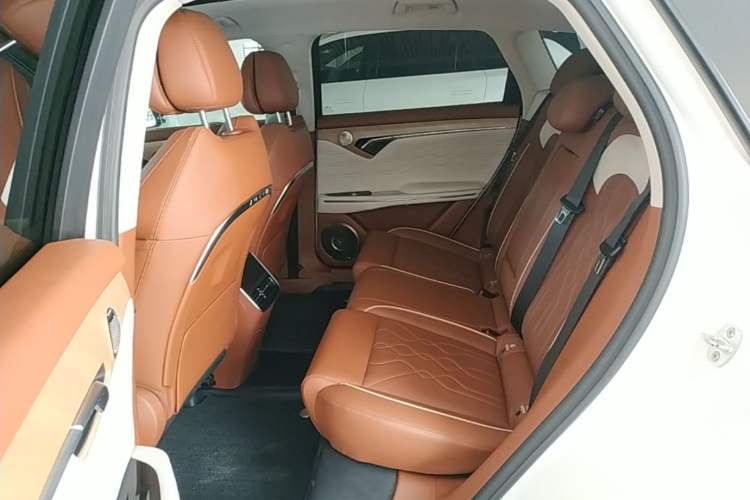 Used VOYAH FREE 2024 Ultra-Long Range Intelligent Driving Version Left Rear Seat