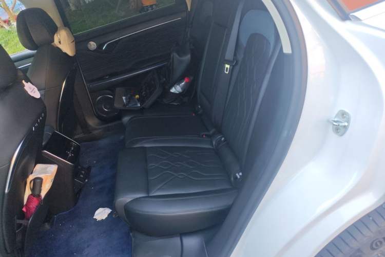 Used VOYAH FREE 2024 Ultra-Long Range Intelligent Driving Version Left Rear Seat