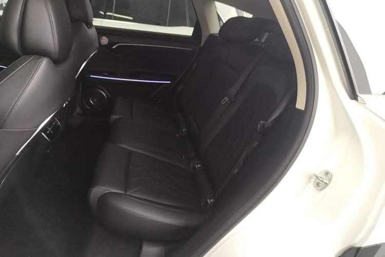 Used VOYAH FREE 2024 Ultra-Long Range Intelligent Driving Version Left Rear Seat