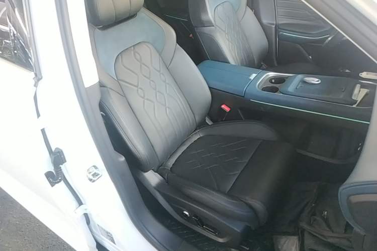 Used VOYAH FREE 2024 Ultra-Long Range Intelligent Driving Version Right Front Seat
