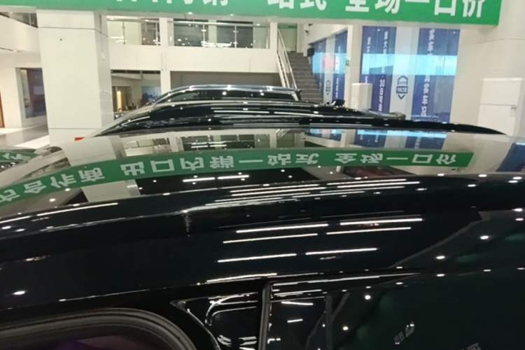 Used VOYAH FREE 2025 Model FREE+ Rear-Drive Qiankun Edition Roof