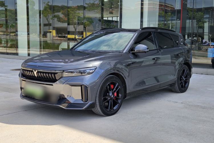 VOYAH FREE 2025 318 318 km Rear-Drive Touring Edition
