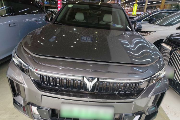 Used VOYAH FREE 2025 318 318 km Rear-Drive Touring Edition Front