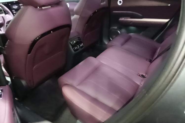 Used VOYAH FREE 2025 Model FREE+ Four-Wheel-Drive Qiankun Edition Left Rear Seat