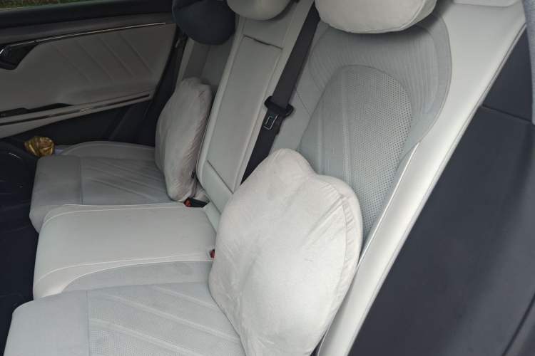 Used VOYAH FREE 2025 318 259 km All-Wheel-Drive Exploration Edition Left Rear Seat