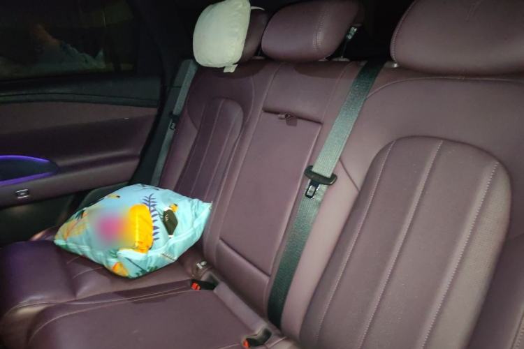 Used VOYAH FREE 2025 Model FREE+ Rear-Drive Qiankun Edition Left Rear Seat
