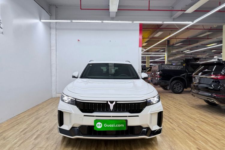 Used VOYAH FREE 2025 318 318 km Rear-Drive Touring Edition Exterior 5