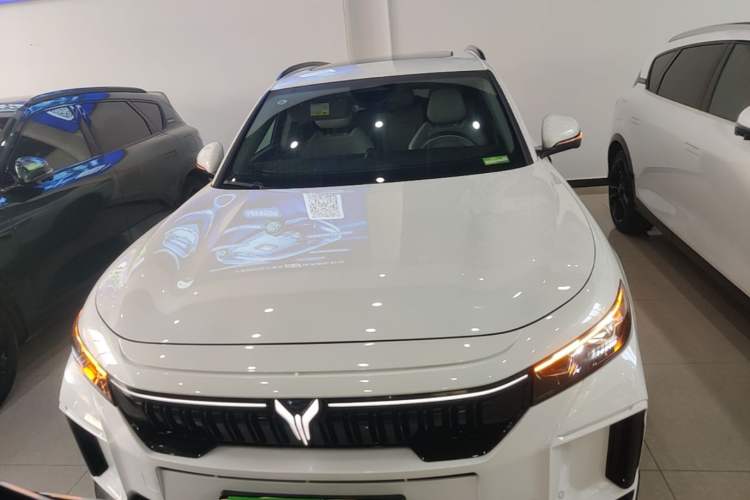 Used VOYAH FREE 2025 318 318 km Rear-Drive Touring Edition Front