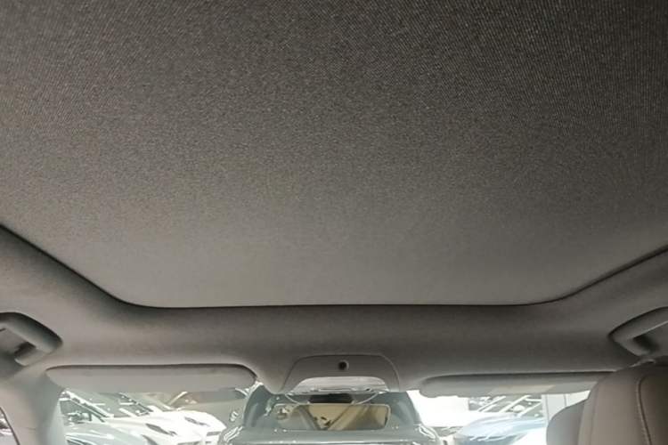 Used VOYAH FREE 2025 318 318 km Rear-Drive Touring Edition Headliner