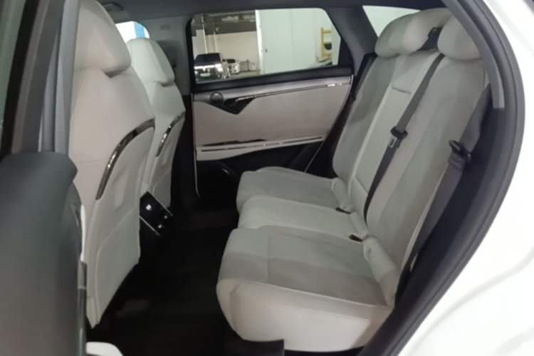 Used VOYAH FREE 2025 318 259 km All-Wheel-Drive Exploration Edition Left Rear Seat