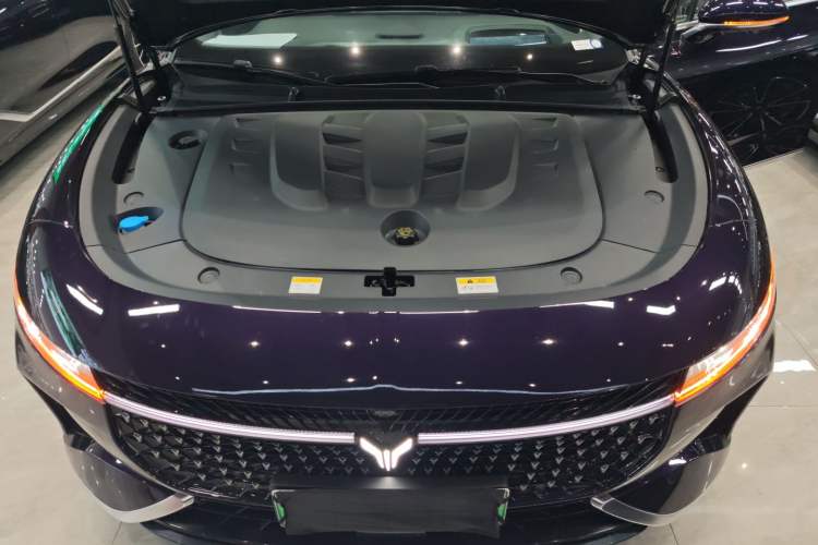 Used VOYAH PASSION 2024 PHEV Four-Wheel Drive Ultra-Long Range Flagship Model Engine Bay