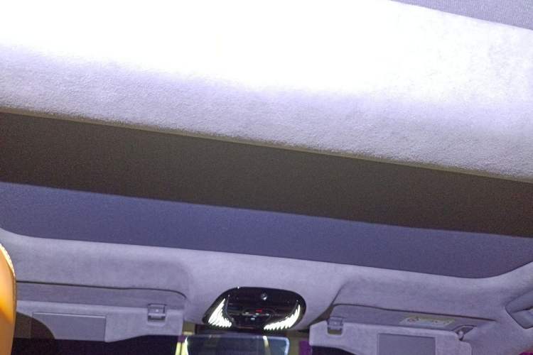 Used VOYAH PASSION 2023 Four-Wheel Drive Flagship Edition Headliner