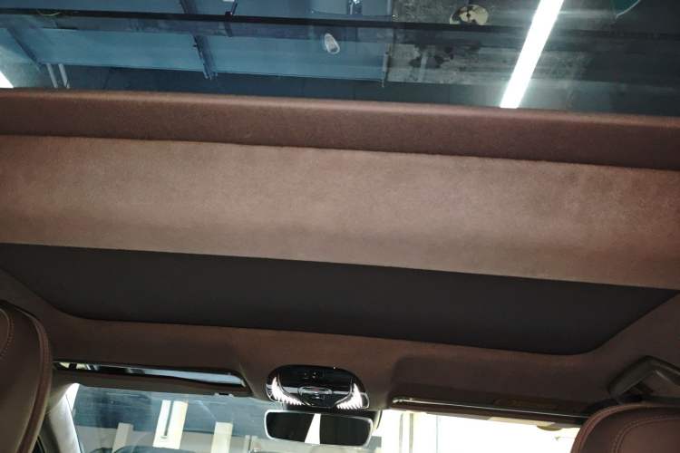 Used VOYAH PASSION 2023 Four-Wheel Drive Long-Range Version Headliner