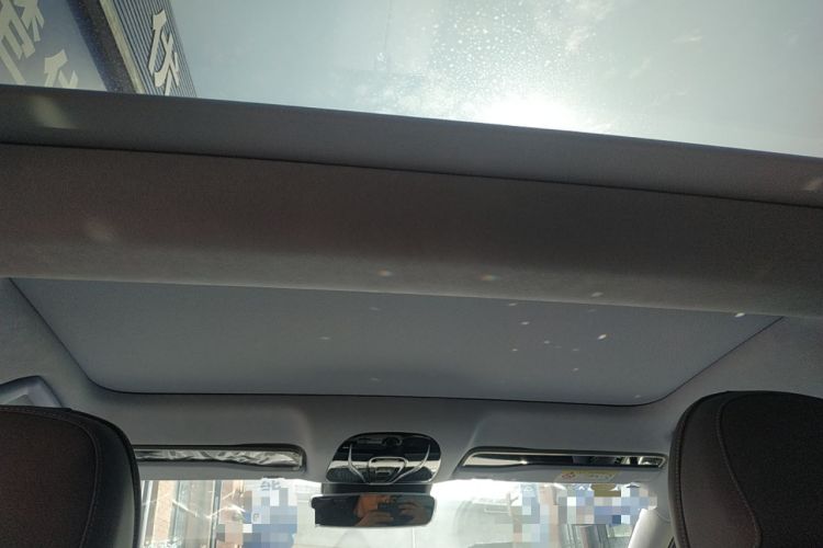 Used VOYAH PASSION 2023 Four-Wheel Drive Long-Range Version Headliner