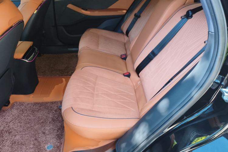 Used VOYAH PASSION 2023 Four-Wheel Drive Standard Edition Left Rear Seat