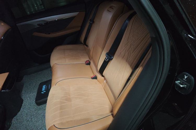 Used VOYAH PASSION 2023 Four-Wheel Drive Flagship Edition Left Rear Seat