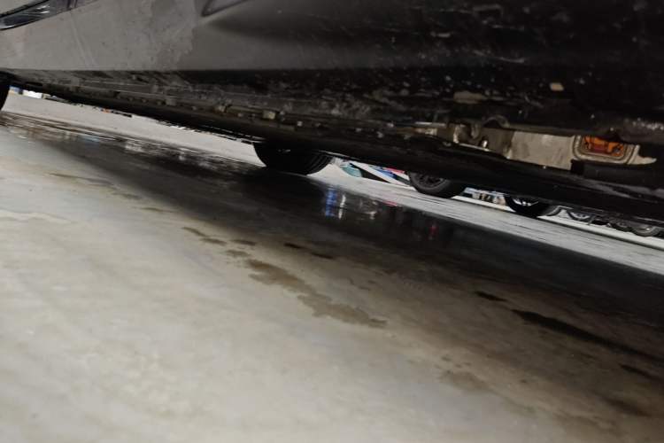 Used VOYAH PASSION 2023 Four-Wheel Drive Long-Range Version Left Side Sill