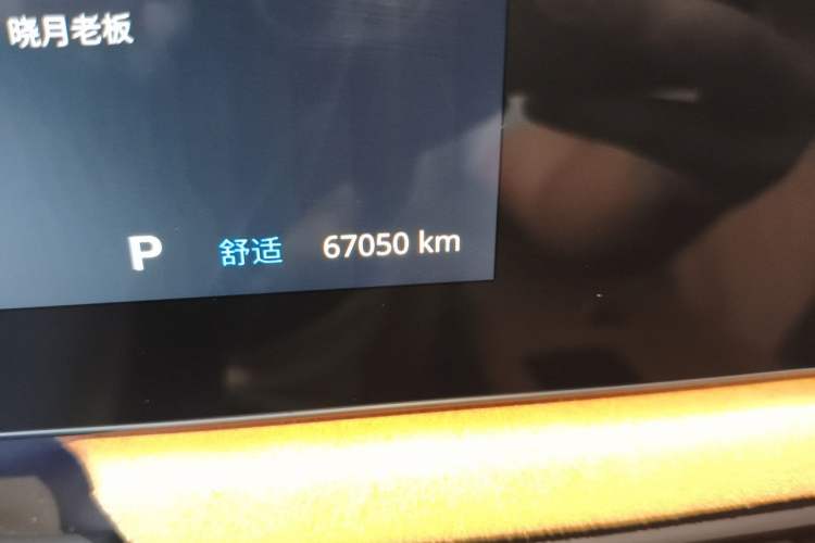 Used VOYAH PASSION 2023 Four-Wheel Drive Standard Edition Odometer Close Up