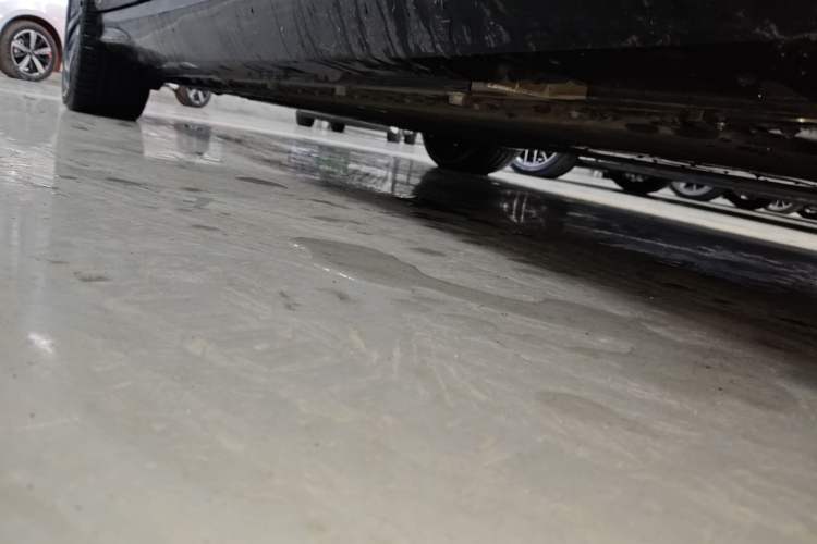 Used VOYAH PASSION 2023 Four-Wheel Drive Long-Range Version Right Side Sill